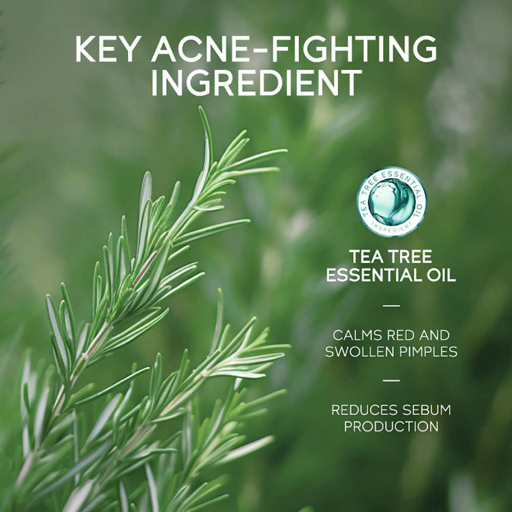 LAIKOU Tea Tree Acne Gel 15g,  - Tea Tree Spot Treatment avis et prix